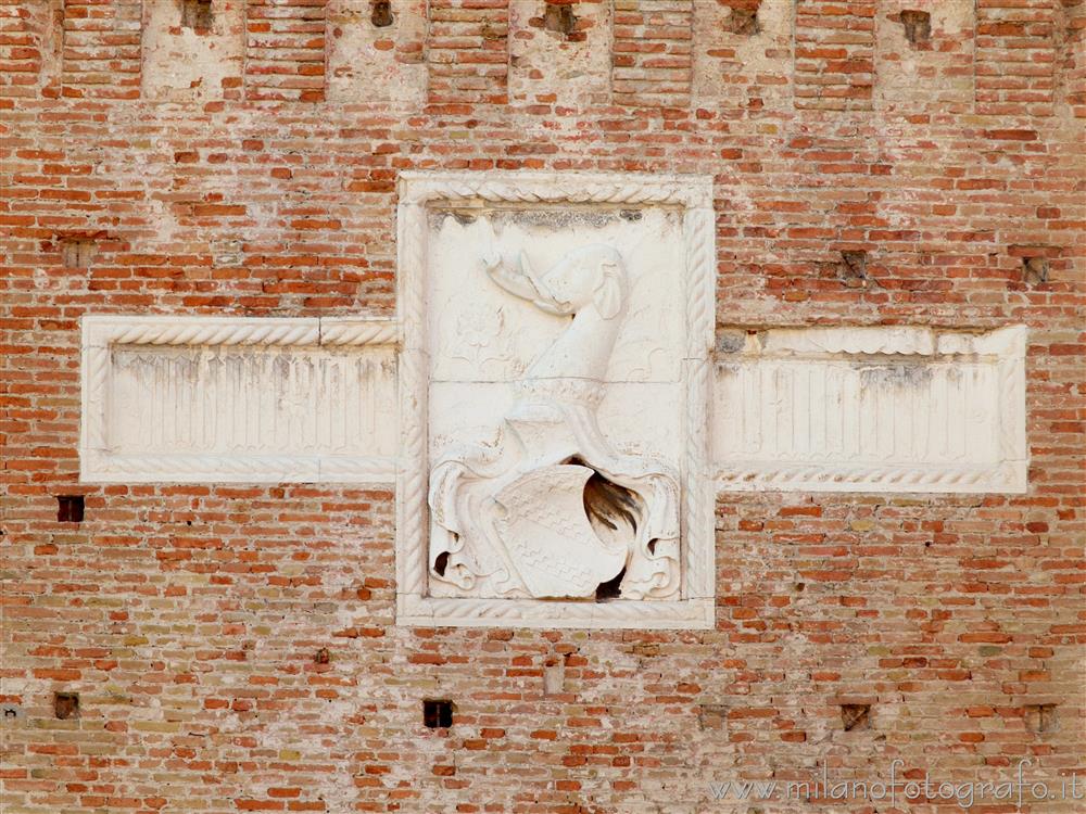 Rimini - Stemma malatestiano sopra all'ingresso di Castello di Sigismondo Pandolfo Malatesta 